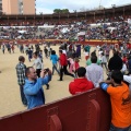 Manifestación taurina