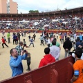 Manifestación taurina