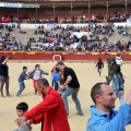 Manifestación taurina