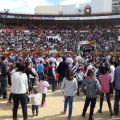 Manifestación taurina