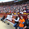 Manifestación taurina