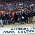 Manifestación taurina