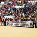 Manifestación taurina