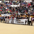 Manifestación taurina