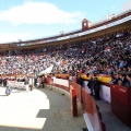 Manifestación taurina