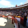 Manifestación taurina