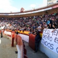 Manifestación taurina