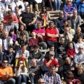 Manifestación taurina