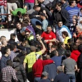 Manifestación taurina