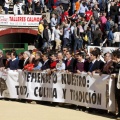 Manifestación taurina
