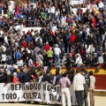 Manifestación taurina