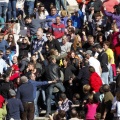 Manifestación taurina
