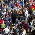 Manifestación taurina