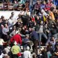 Manifestación taurina