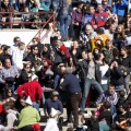 Manifestación taurina