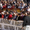 Manifestación taurina