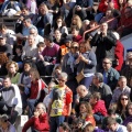 Manifestación taurina