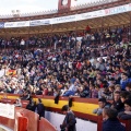 Manifestación taurina