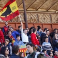 Manifestación taurina