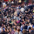 Manifestación taurina