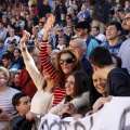 Manifestación taurina