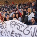 Manifestación taurina