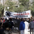 Manifestación taurina