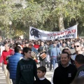 Manifestación taurina