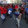 Manifestación taurina