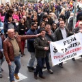 Manifestación taurina