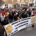 Manifestación taurina