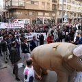 Manifestación taurina