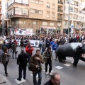 Manifestación taurina