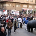 Manifestación taurina