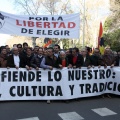 Manifestación taurina