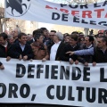 Manifestación taurina