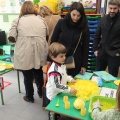 Castellón, Centros Educativos San Cristóbal