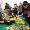 Castellón, Centros Educativos San Cristóbal