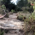 Pedalada BTT 1.500 Ciutat de Castelló