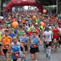 III Media Maratón Internacional de Benicàssim