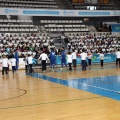 Movistar Mega Cracks