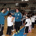 Movistar Mega Cracks