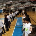 Movistar Mega Cracks