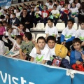 Movistar Mega Cracks