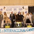 Exhibición internacional canina