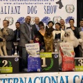 Exhibición internacional canina