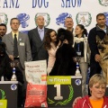 Exhibición internacional canina