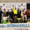 Exhibición internacional canina