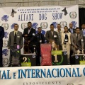 Exhibición internacional canina