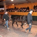 Cabalgata del Pregó